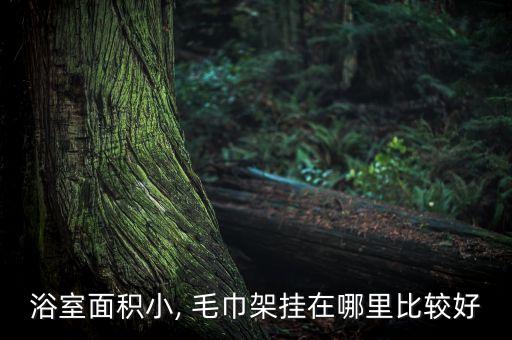 衛(wèi)浴毛巾架的位置圖片,衛(wèi)浴掛件安裝位置圖片