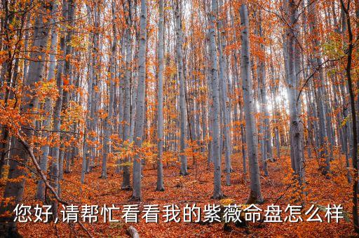 您好,請幫忙看看我的紫薇命盤怎么樣