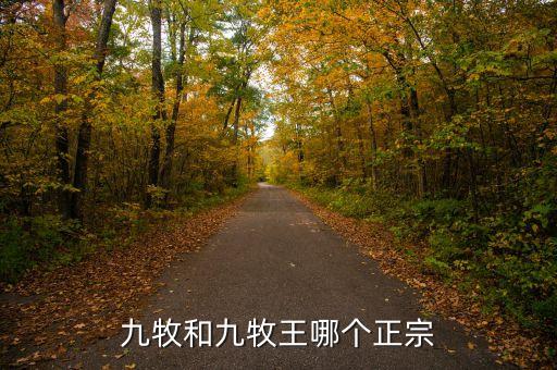 九牧和九牧王哪個正宗