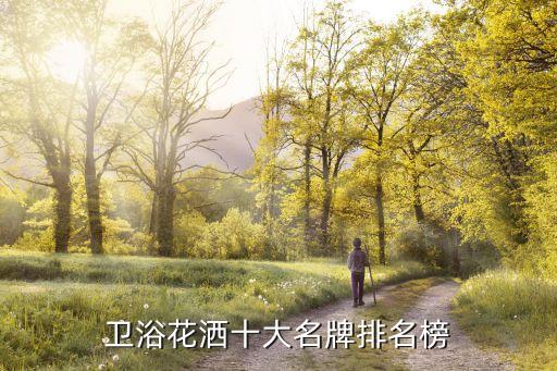 衛(wèi)浴花灑十大名牌排名榜