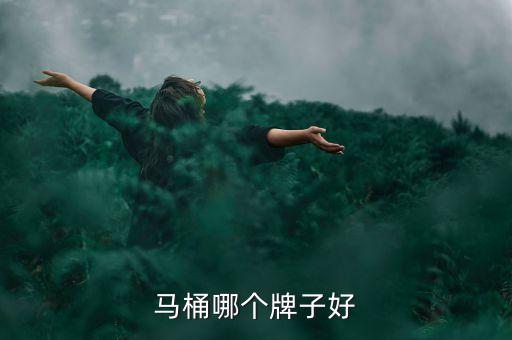 馬桶哪個牌子好