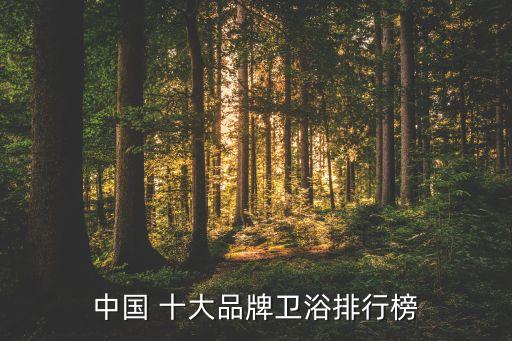 中國(guó) 十大品牌衛(wèi)浴排行榜