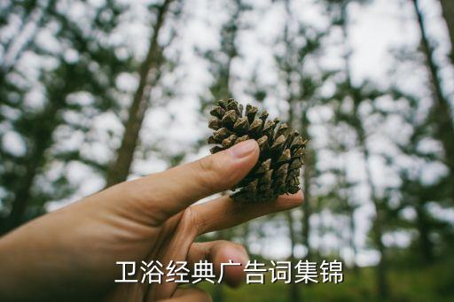  衛(wèi)浴經(jīng)典廣告詞集錦