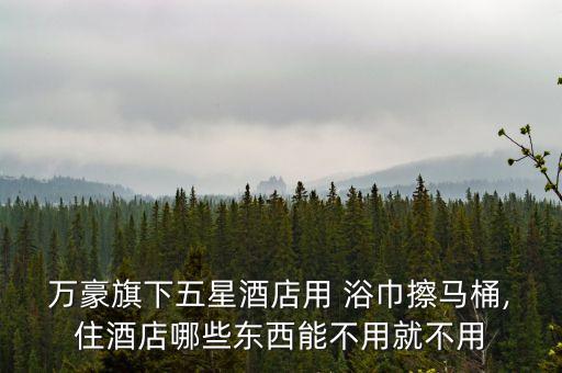 ?萬豪旗下五星酒店用 浴巾擦馬桶,住酒店哪些東西能不用就不用