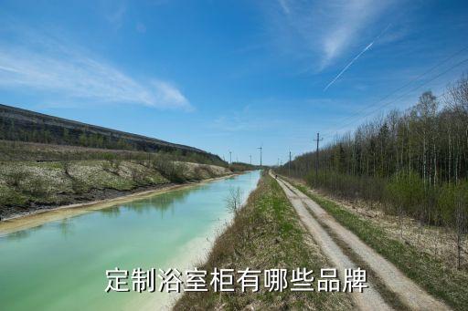  定制浴室柜有哪些品牌