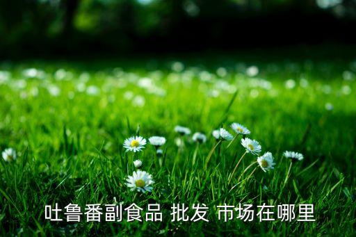  吐魯番副食品 批發(fā) 市場在哪里