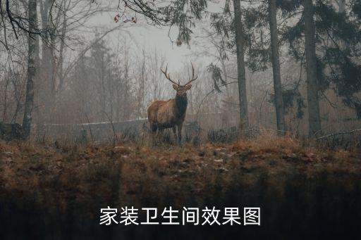 家裝衛(wèi)生間效果圖