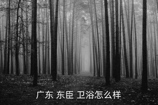 廣東 東臣 衛(wèi)浴怎么樣