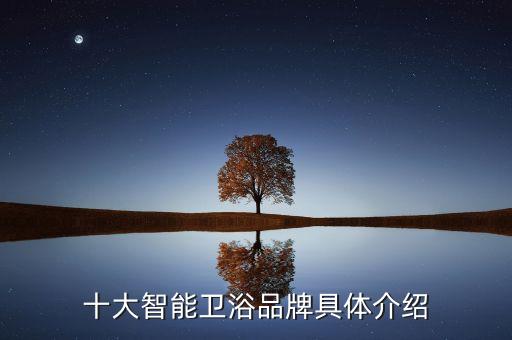 恒潔衛(wèi)浴與恒潔集成品牌,恒潔和恒潔衛(wèi)浴是一個廠家嗎
