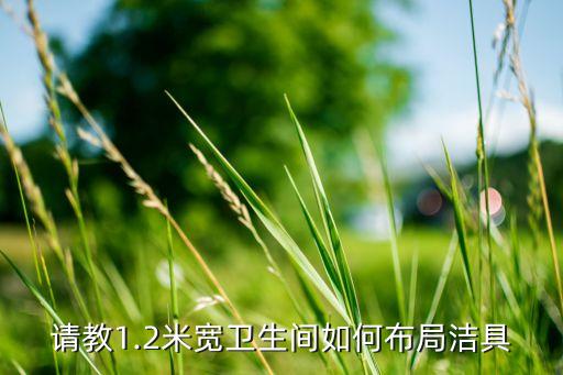 請(qǐng)教1.2米寬衛(wèi)生間如何布局潔具