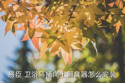 易臣 衛(wèi)浴馬桶向上翻臭器怎么安裝