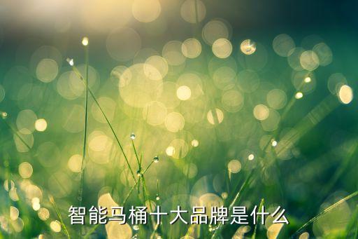 智能馬桶十大品牌是什么