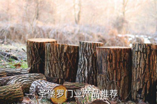 圣堡羅門業(yè)產(chǎn)品推薦