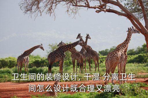 衛(wèi)生間的裝修設(shè)計(jì), 干濕 分離衛(wèi)生間怎么設(shè)計(jì)既合理又漂亮