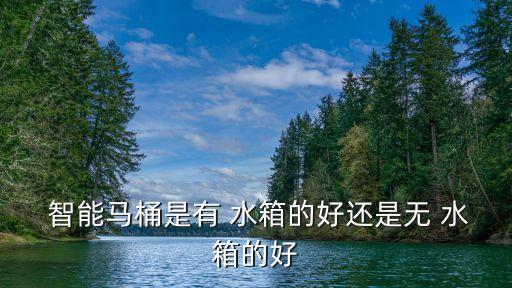 衛(wèi)浴智能水箱圖片大全視頻,衛(wèi)浴水箱配件大全圖片