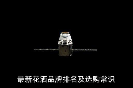 衛(wèi)浴五金花灑圖片,歐度衛(wèi)浴花灑價格及圖片