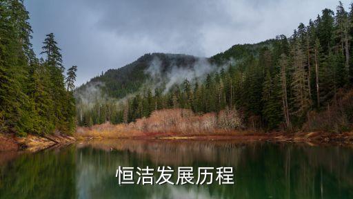 恒潔發(fā)展歷程