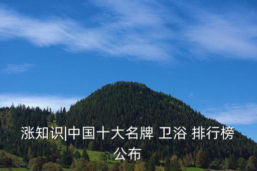 漲知識(shí)|中國(guó)十大名牌 衛(wèi)浴 排行榜公布