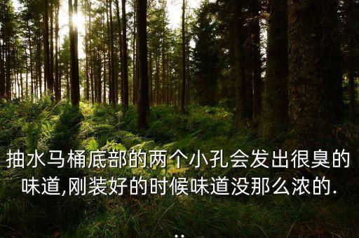 抽水馬桶底部的兩個(gè)小孔會(huì)發(fā)出很臭的味道,剛裝好的時(shí)候味道沒那么濃的...