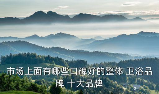 市場上面有哪些口碑好的整體 衛(wèi)浴品牌 十大品牌