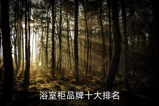 世貝衛(wèi)浴介紹圖片大全