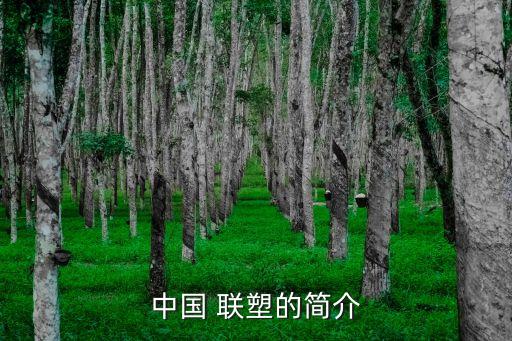 山陽聯(lián)塑管道衛(wèi)浴地址