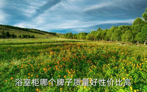 衛(wèi)浴柜鏡柜封板圖片
