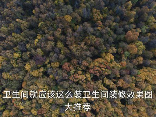 衛(wèi)生間就應(yīng)該這么裝衛(wèi)生間裝修效果圖大推薦