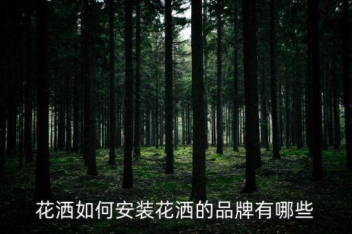 花灑如何安裝花灑的品牌有哪些