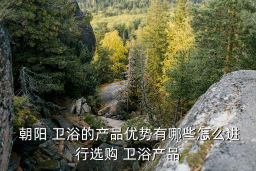  朝陽(yáng) 衛(wèi)浴的產(chǎn)品優(yōu)勢(shì)有哪些怎么進(jìn)行選購(gòu) 衛(wèi)浴產(chǎn)品
