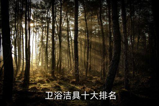  衛(wèi)浴潔具十大排名