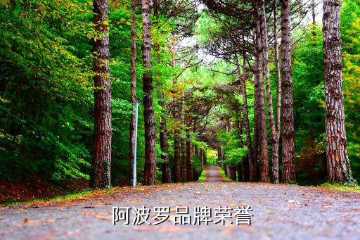  阿波羅品牌榮譽(yù)