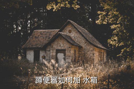 鼎尊衛(wèi)浴水箱怎么安裝圖片