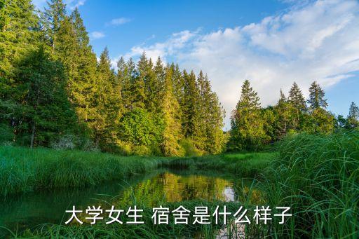 大學女生 宿舍是什么樣子