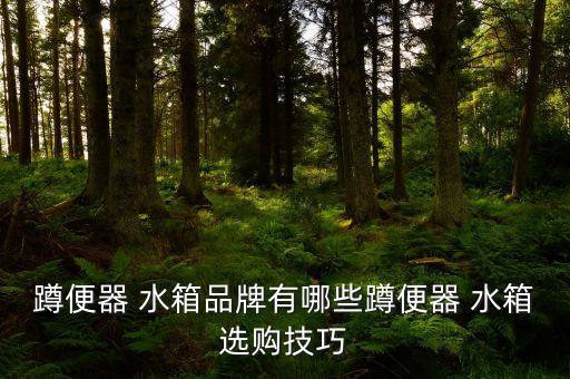 蹲便器 水箱品牌有哪些蹲便器 水箱選購(gòu)技巧