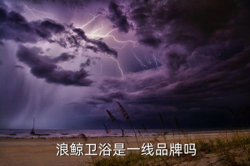  浪鯨衛(wèi)浴是一線品牌嗎