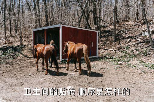 衛(wèi)生間的貼磚 順序是怎樣的