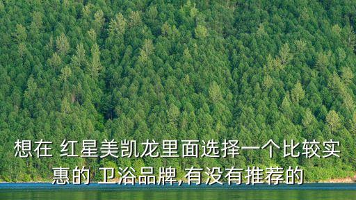 六安紅星衛(wèi)浴定制廠家電話