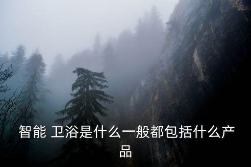  智能 衛(wèi)浴是什么一般都包括什么產(chǎn)品