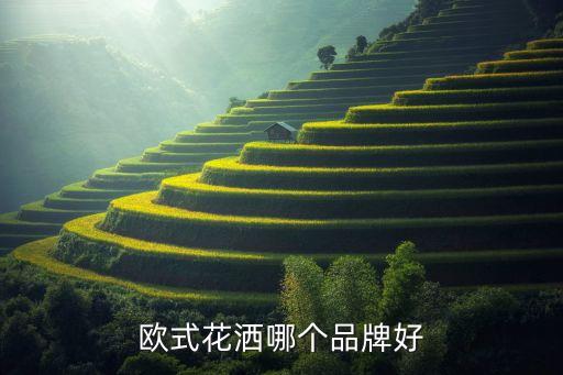 歐式花灑哪個(gè)品牌好