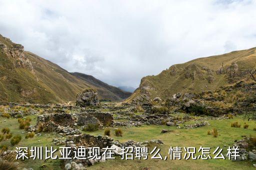 深圳比亞迪現(xiàn)在 招聘么,情況怎么樣