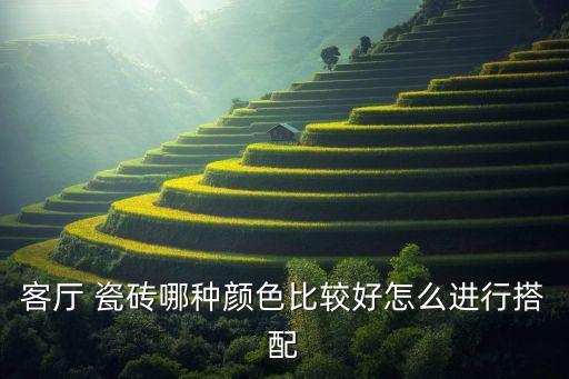 客廳 瓷磚哪種顏色比較好怎么進行搭配