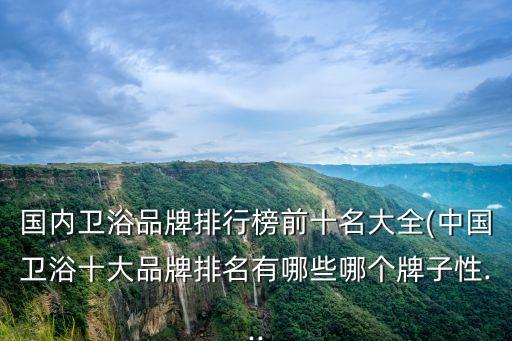 國(guó)內(nèi)衛(wèi)浴品牌排行榜前十名大全(中國(guó)衛(wèi)浴十大品牌排名有哪些哪個(gè)牌子性...