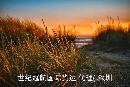 世紀(jì)冠航國際貨運(yùn) 代理( 深圳
