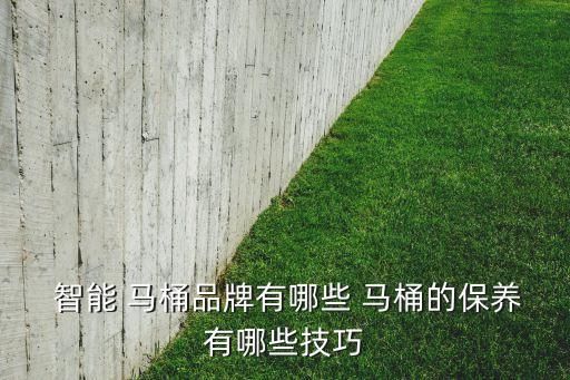  智能 馬桶品牌有哪些 馬桶的保養(yǎng)有哪些技巧