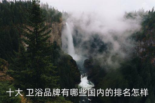十大 衛(wèi)浴品牌有哪些國內(nèi)的排名怎樣