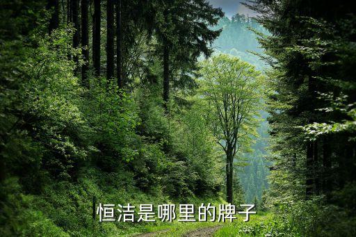 恒潔是哪里的牌子