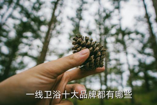 申潰達(dá)衛(wèi)浴是一線品牌嗎