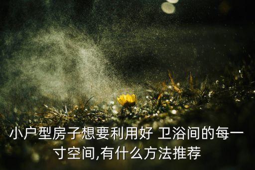 小戶型房子想要利用好 衛(wèi)浴間的每一寸空間,有什么方法推薦