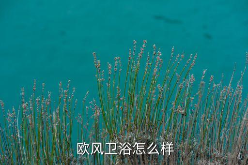  歐風(fēng)衛(wèi)浴怎么樣